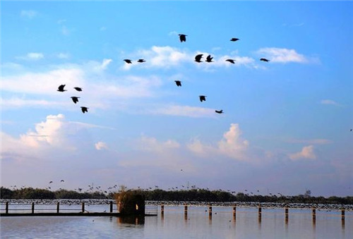 西班牙世外桃源——多南那國家公園