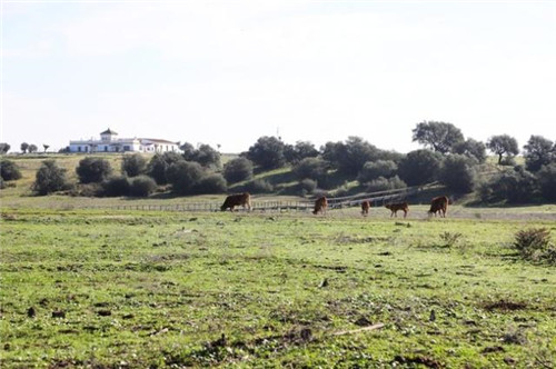 西班牙世外桃源——多南那國家公園
