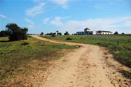 西班牙世外桃源——多南那國家公園