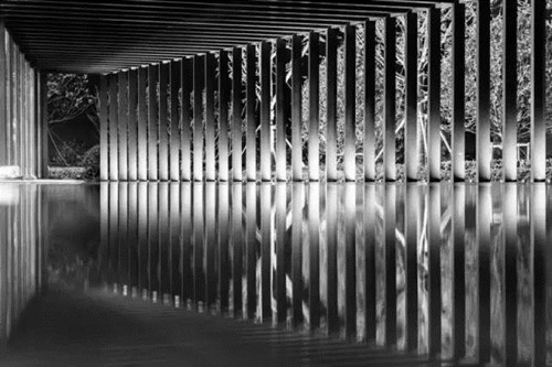 笛東臻品：寧波上湖城章，新湖居文化起航