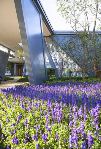 笛東臻品：寧波上湖城章，新湖居文化起航