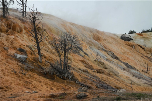 帶你領略美國黃石國家公園猛犸象噴泉