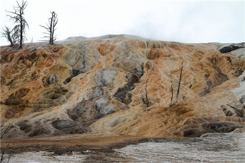 帶你領略美國黃石國家公園猛犸象噴泉