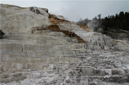 帶你領略美國黃石國家公園猛犸象噴泉