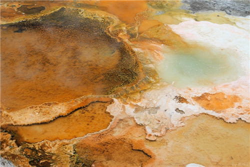 帶你領略美國黃石國家公園猛犸象噴泉