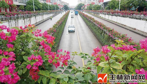 廣西玉林市：全民打造一座園林之城（多圖）