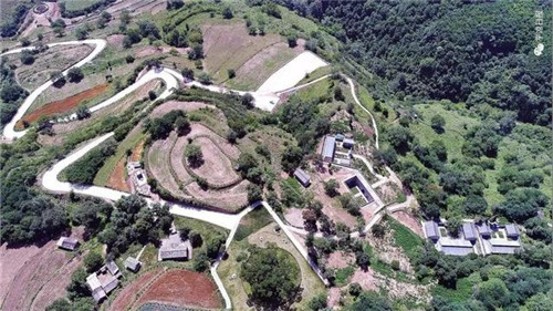 甘肅平涼崇信縣四棵神奇古樹