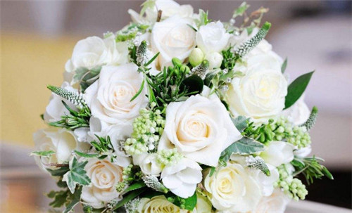 簡單插花技巧 教你三步輕松搞定插花