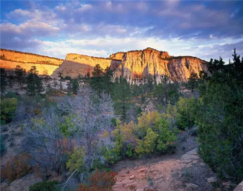 美國錫安國家公園一步一景，美不勝收