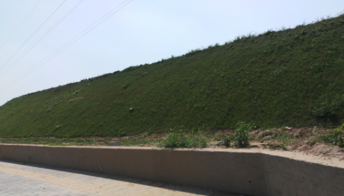 西安植物園護(hù)坡噴播綠化技術(shù)取得新突破