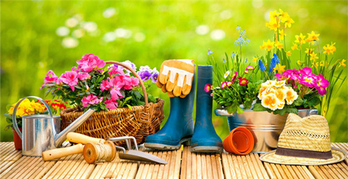 園藝用品銷售新去處 橫跨歐洲6國的ManoMano