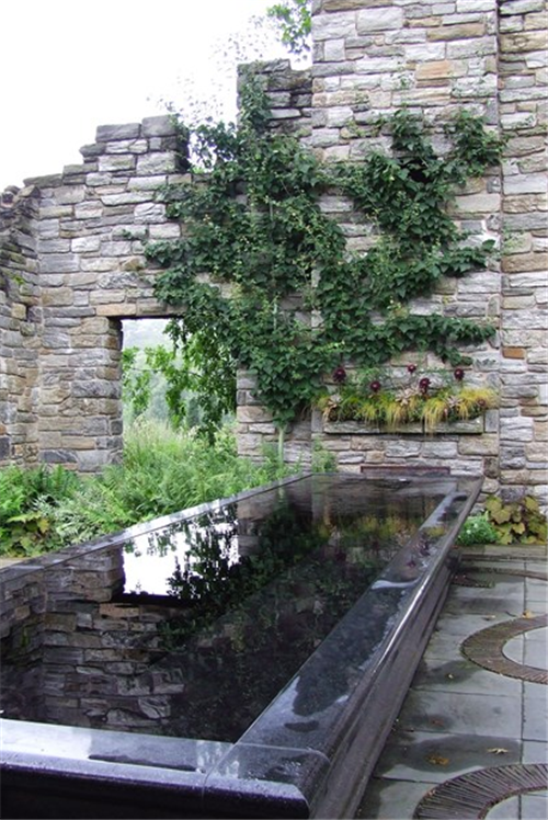 花園中的樹籬——園林中的植物“圍墻”