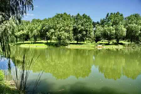 水景之美永駐七訣