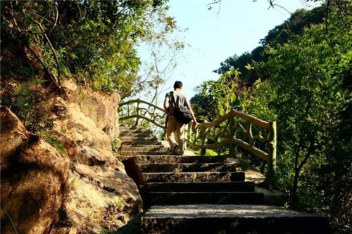 景區棧道多如牛毛，吸引游客才是王道