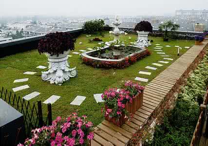 談屋頂綠化的植物配置