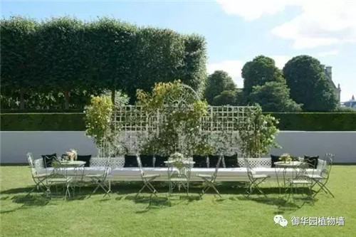 Dior70周年展，植物墻又出風頭了！