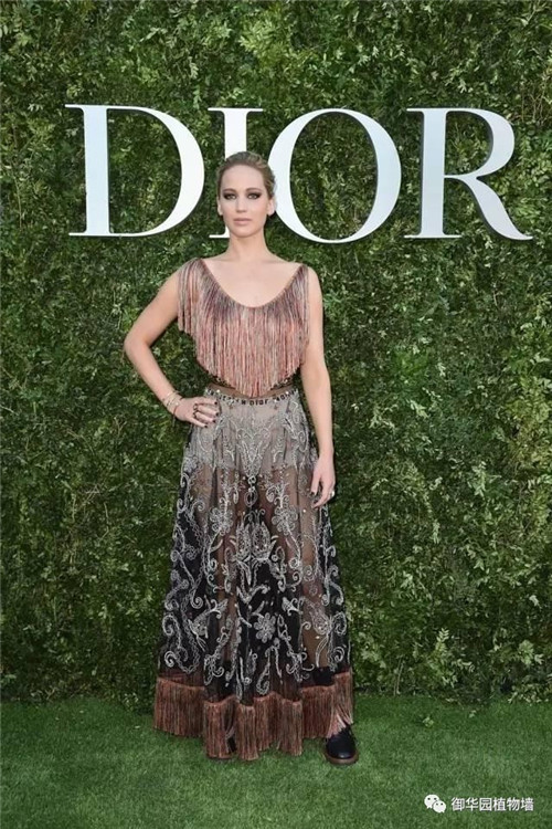 Dior70周年展，植物墻又出風頭了！
