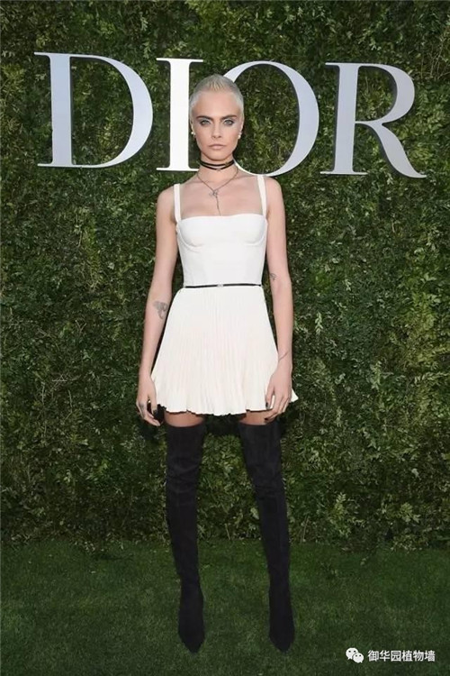 Dior70周年展,植物墻又出風頭了!