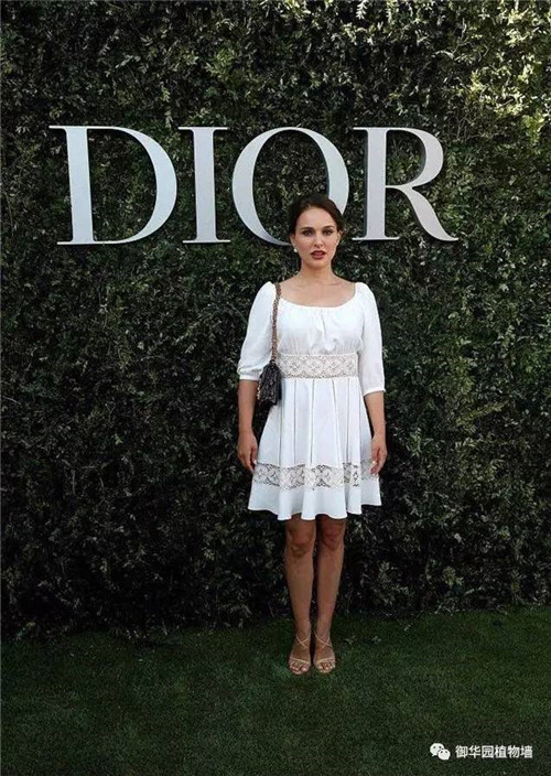 Dior70周年展,植物墻又出風頭了!