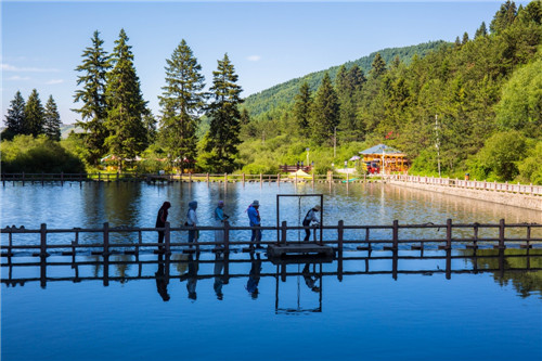 甘肅最美國家森林公園松鳴巖