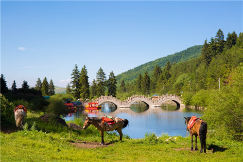 甘肅最美國家森林公園松鳴巖
