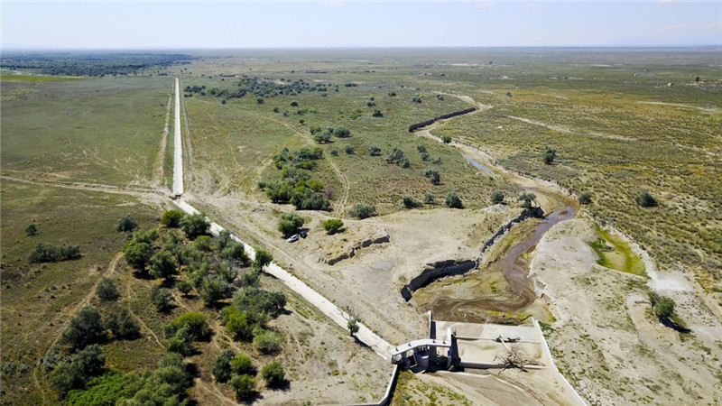 新疆塔城加快修復(fù)庫(kù)魯斯臺(tái)草原生態(tài)