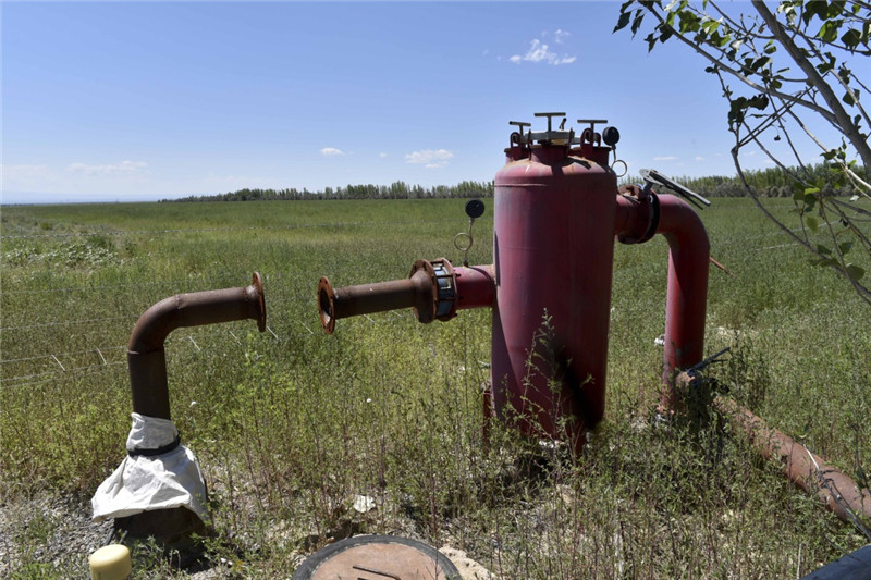 新疆塔城加快修復(fù)庫(kù)魯斯臺(tái)草原生態(tài)