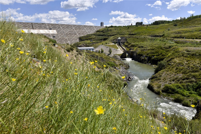 新疆塔城加快修復(fù)庫魯斯臺草原生態(tài)