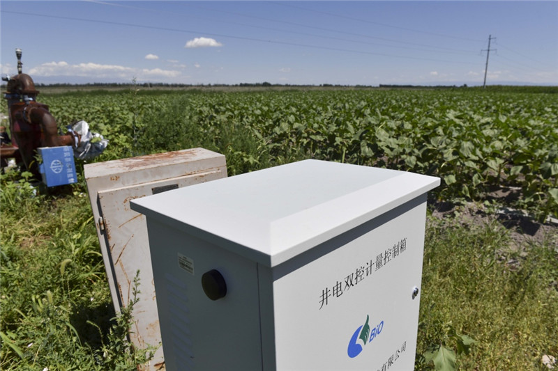 新疆塔城加快修復(fù)庫魯斯臺草原生態(tài)