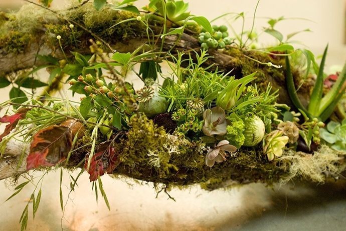 65歲的她將植物融入高級(jí)定制時(shí)裝設(shè)計(jì)