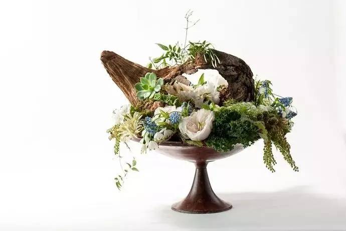 65歲的她將植物融入高級(jí)定制時(shí)裝設(shè)計(jì)