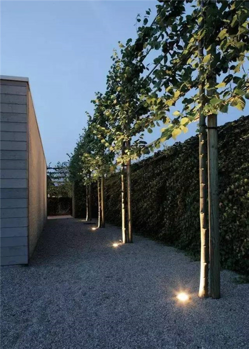 出乎意料的植物景觀