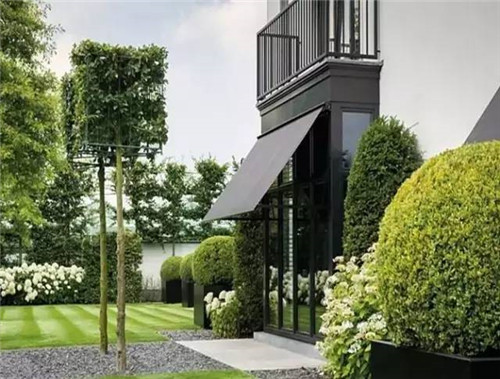 出乎意料的植物景觀