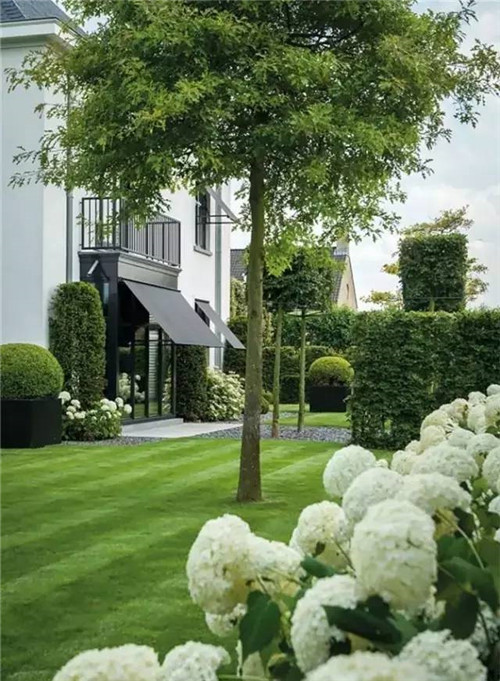 出乎意料的植物景觀