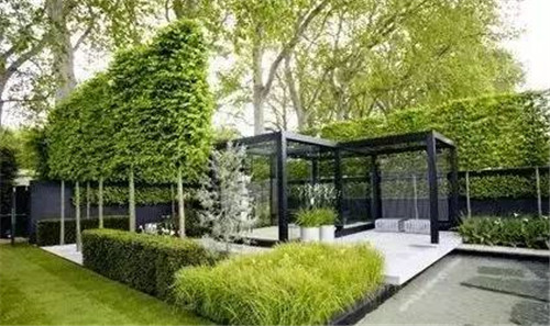 出乎意料的植物景觀