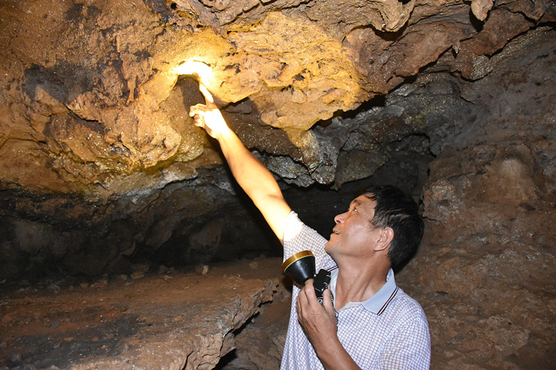 廣東陽春崆峒巖景區發現疑似動植物化石