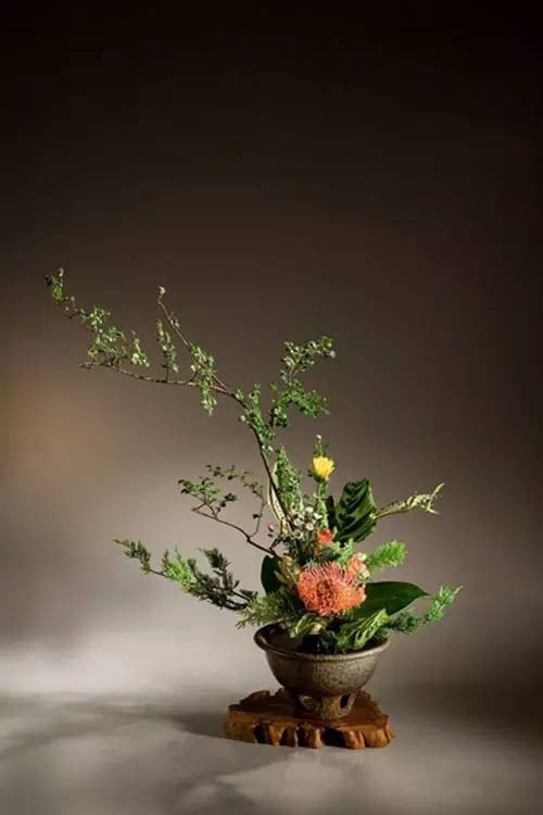 花藝、插花和花道之間的區(qū)別