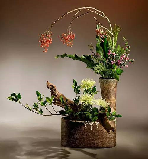 花藝、插花和花道之間的區別