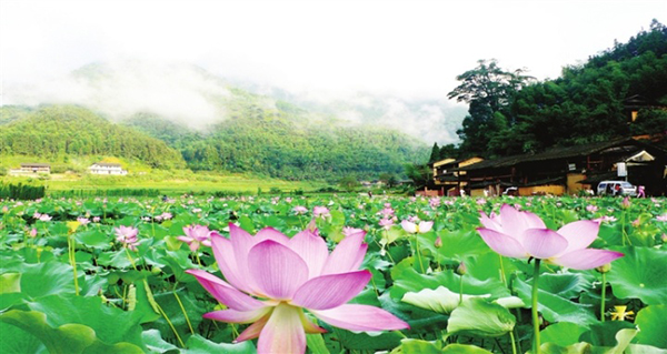 景區集中整治 扮靚“清新福建”