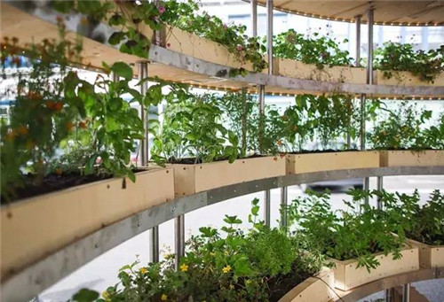 直徑2.5m的球,號稱可以移動的花園