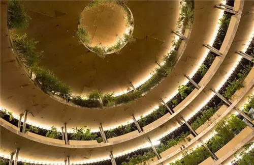 直徑2.5m的球,號稱可以移動的花園