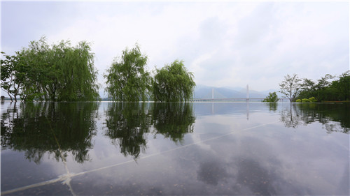 杭州園林作品:三江兩岸整治(一期)