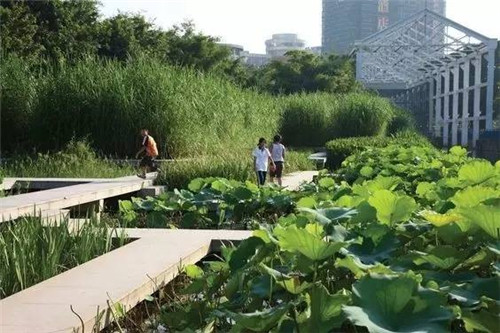 我們在設(shè)計濱水景觀時在設(shè)計什么？