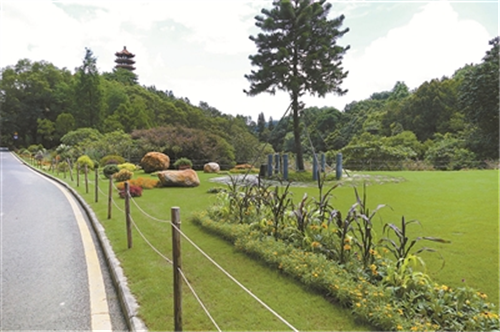 仙湖植物園景觀換新顏吸引世界目光