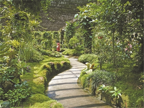 仙湖植物園景觀換新顏吸引世界目光