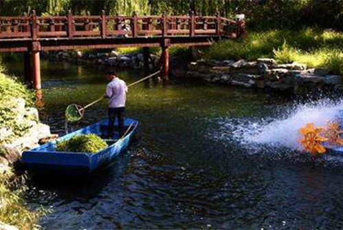 水生態(tài)修復(fù)的12條方法