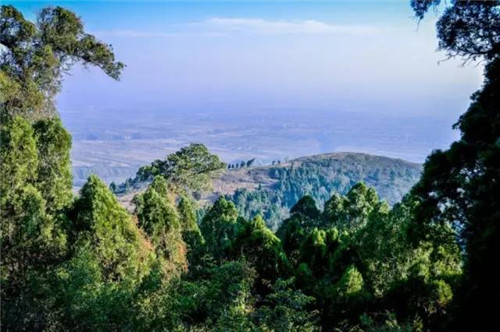 渭南又添一處國家森林公園