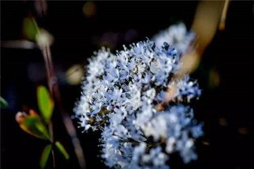 渭南又添一處國家森林公園