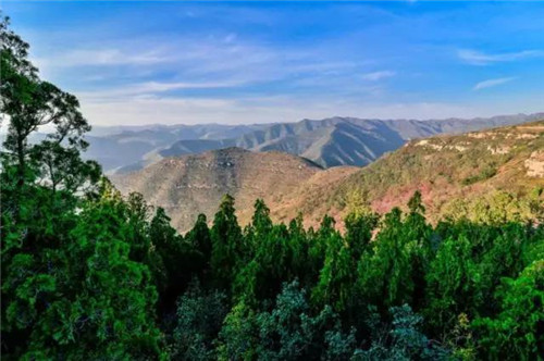 渭南又添一處國家森林公園