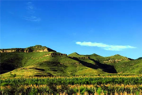 渭南又添一處國家森林公園